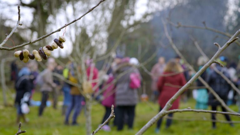 Mincinglake Wassail Song – music video