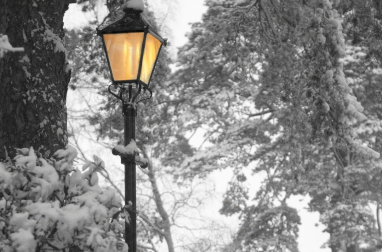 Twelfth Night – A Musical Winter Journey