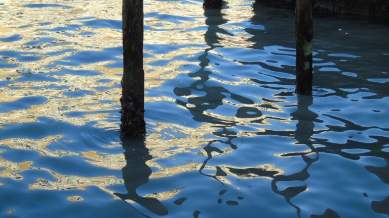 Justice and Mercy: Shakespeare tantalises with contemporary relevance