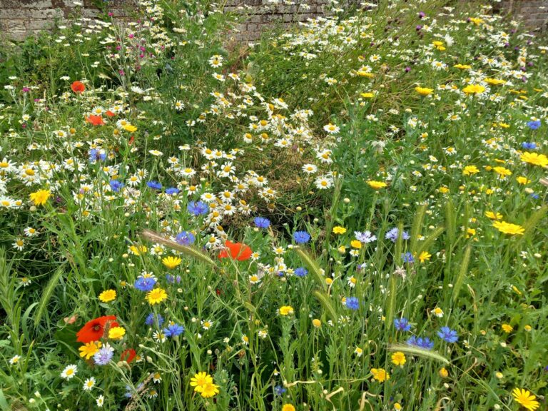 Nature on our doorstep